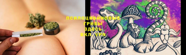 мяу мяу мука Абинск