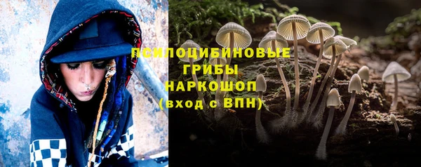 spice Абаза