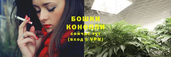 spice Абаза