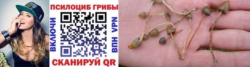 Псилоцибиновые грибы GOLDEN TEACHER  как найти наркотики  Назрань 