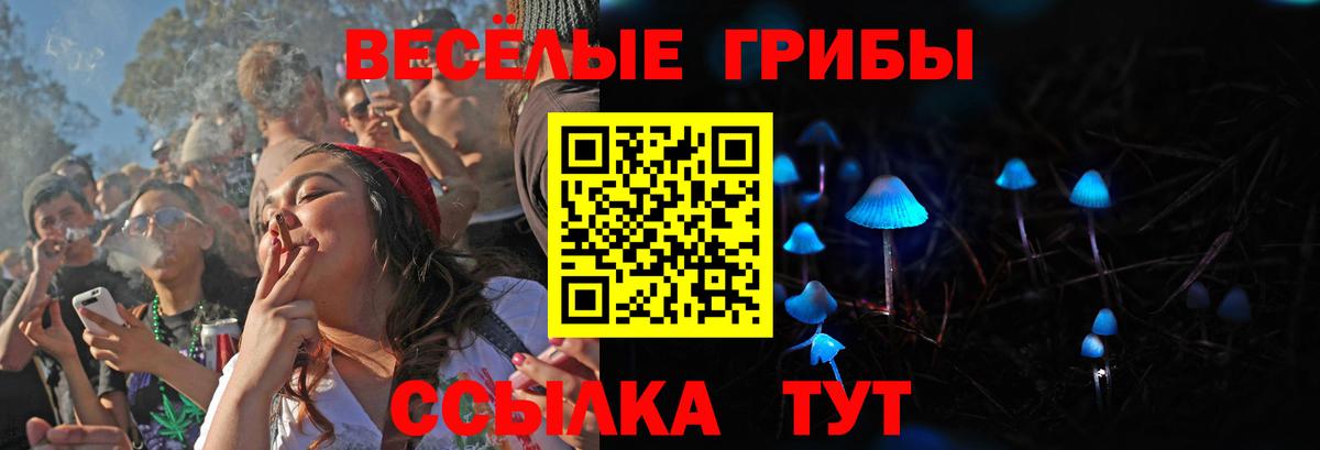 Галлюциногенные грибы Psilocybine cubensis  Вход с VPN  Назрань  Псилоцибиновые грибы GOLDEN TEACHER 