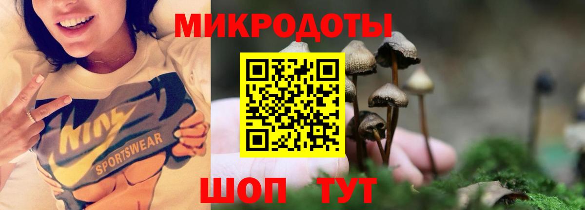 Галлюциногенные грибы GOLDEN TEACHER Назрань